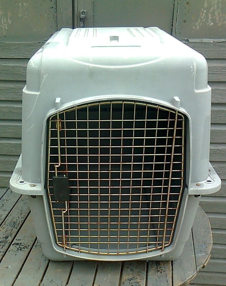 ‘Dog Cage/Crate/ Transport box, No Text Please, Large, heavy duty, 2'9 long, 2'1 high, 1'11 wide