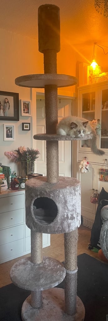 Cat tower
