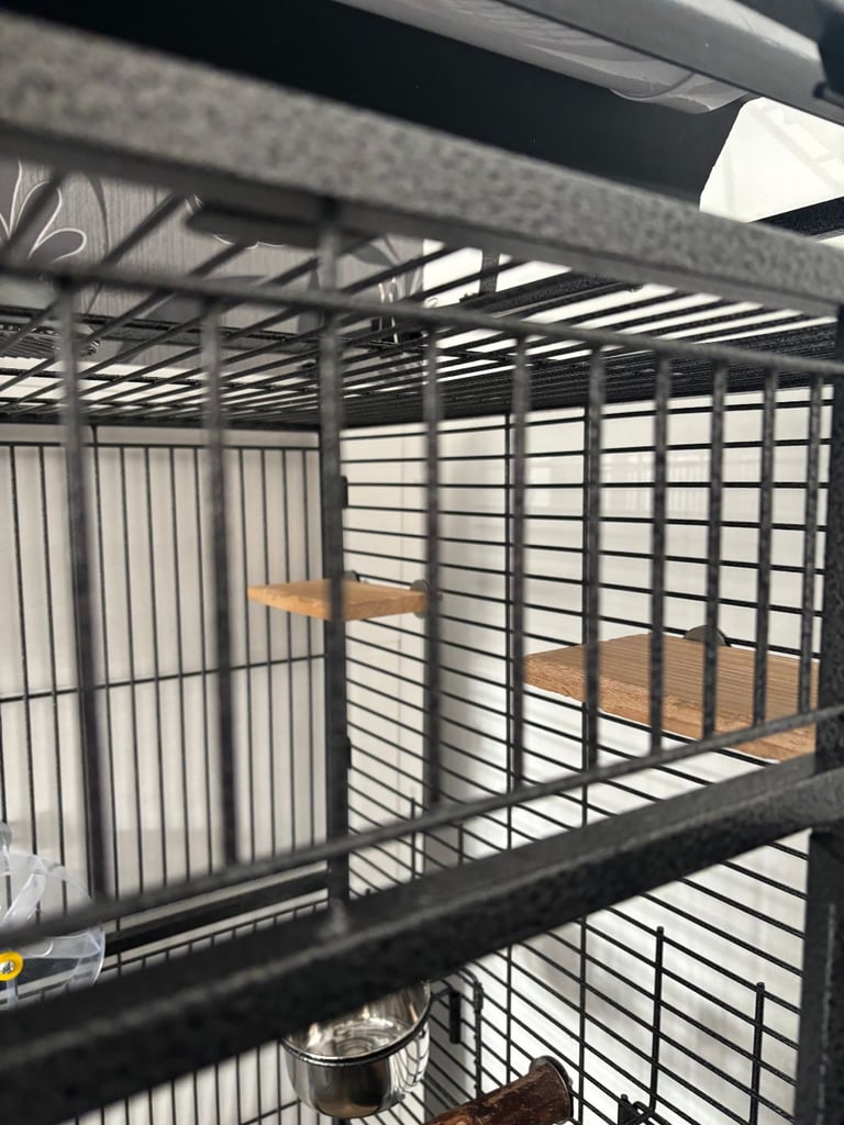 Large Parrot Cage
