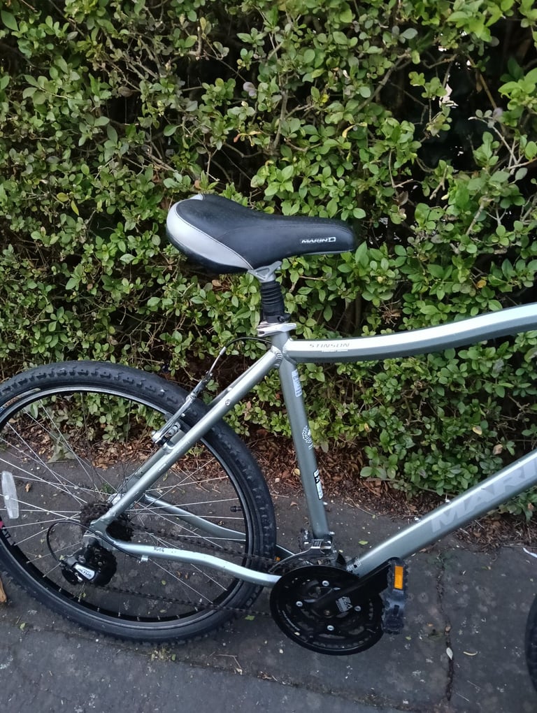 Large mens bike will suit a taller person 
