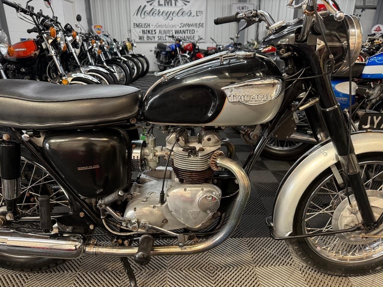 1966 triumph speedtwin 5TA 500cc, lovely useable classic 