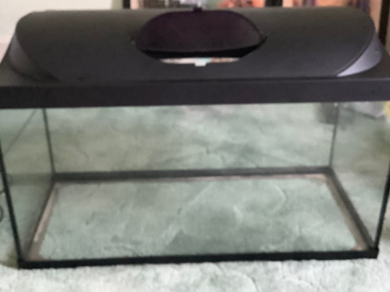 Fish Tank Tetra  with Ornaments