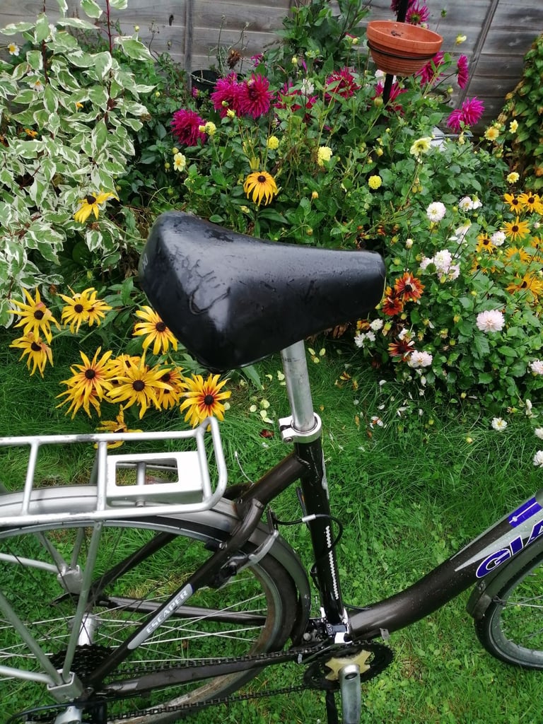 Ladies Giant Bicycle 