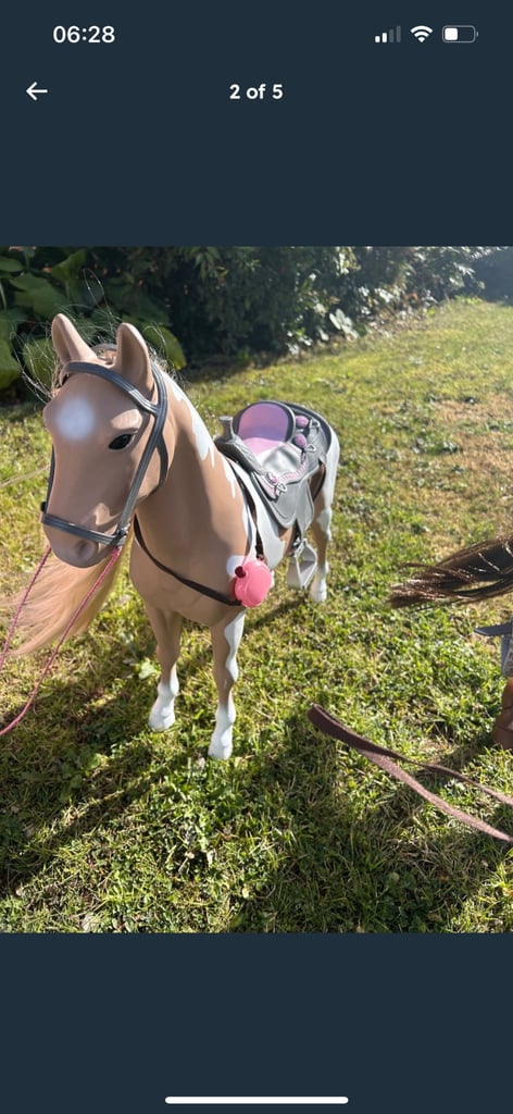 Our generation horse x2 and stable