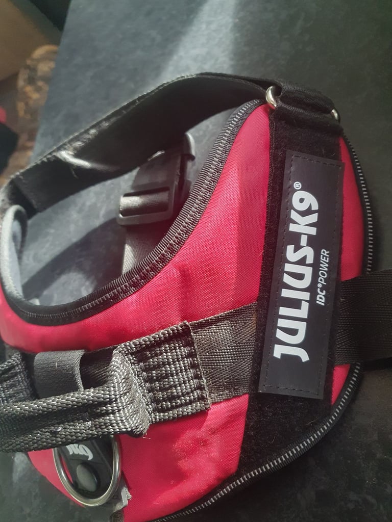 Medium julius k9 harness 