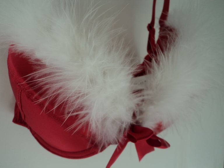 Brand new red 'Christmas' style bra.