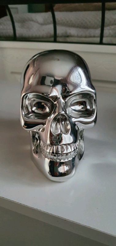 image for Chrome look skull.