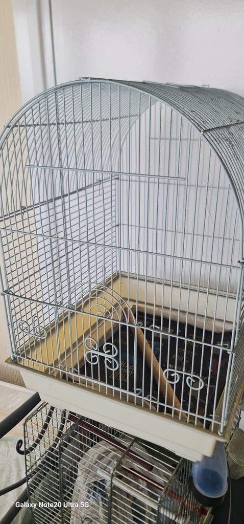 Birds cage 