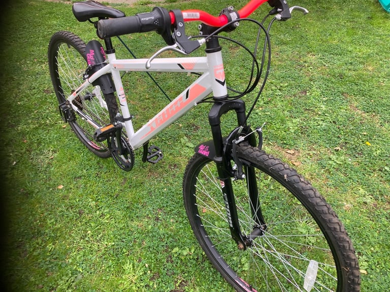 Team gx teens Mountain bike as new!