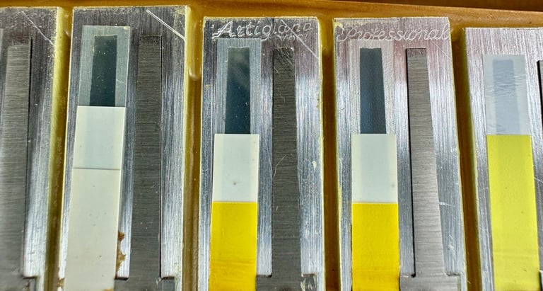 Borsini Vienna K10 - Double Cassotto - 4 Voice Musette Top Quality Italian Piano Accordion