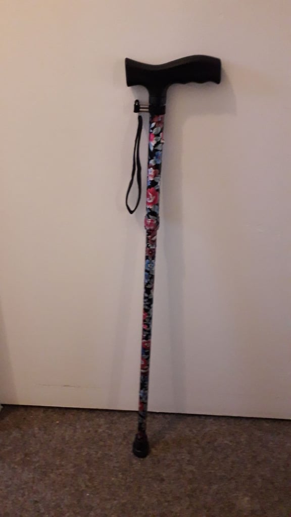 image for New Walking Stick 