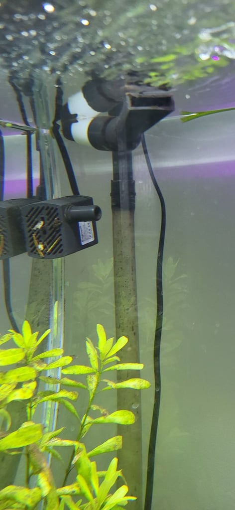 200L Fish Tank