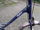 Pashley tricycle