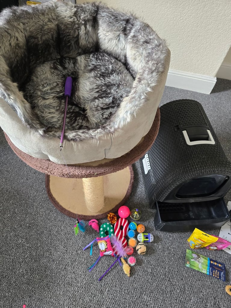 Cat/kitten Accesories