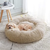 Calming dog bed 