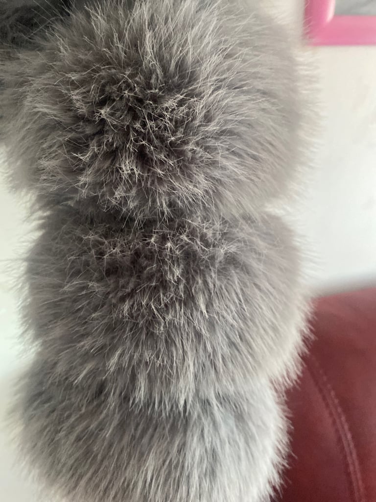 Medium  fur coat with hood