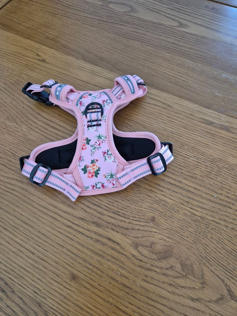 Dog harness 
