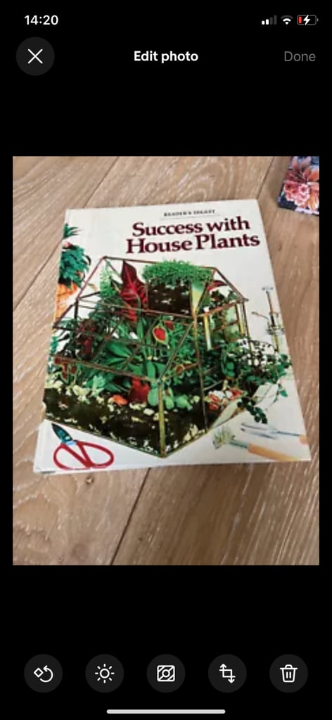Success with house plants
