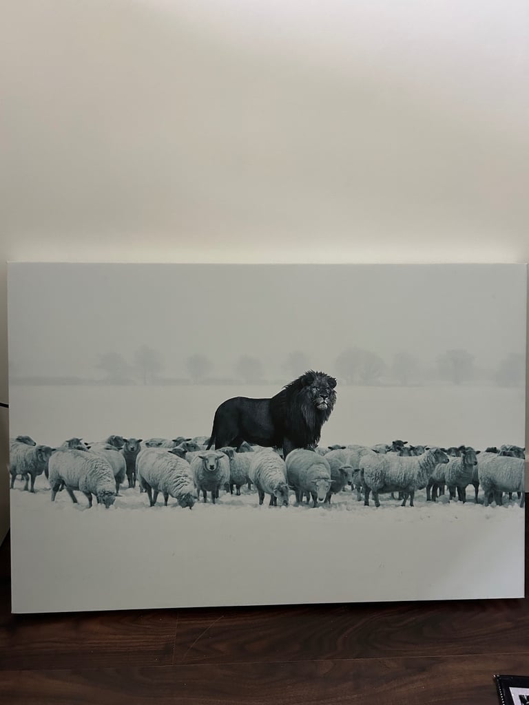 Canvas - Lion Amongst Sheep