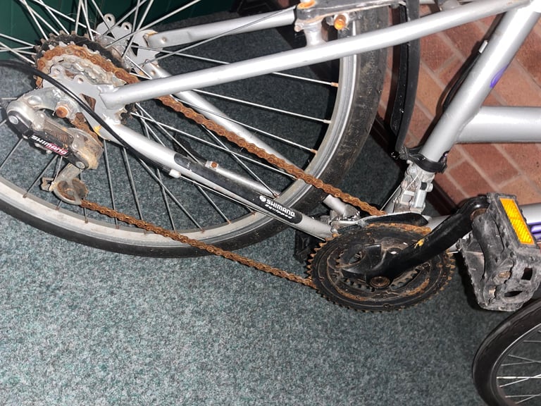 Women’s Bike 