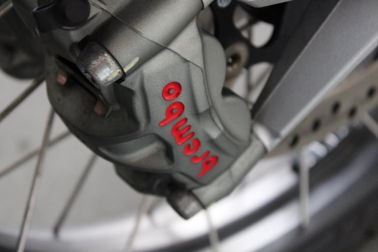 2022 Ducati Desert X in White Silk