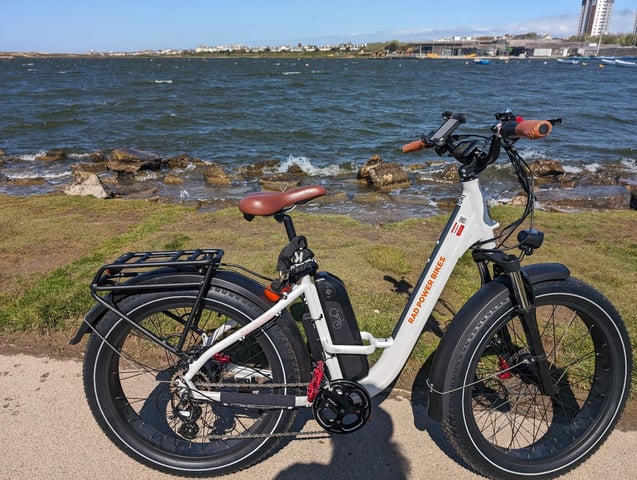 Rad Power Bikes Radrhino Radrhino Step Thru Rad Power Bikes