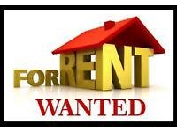 I AM LOOKING FOR FLAT TO RENT LONG TERM1