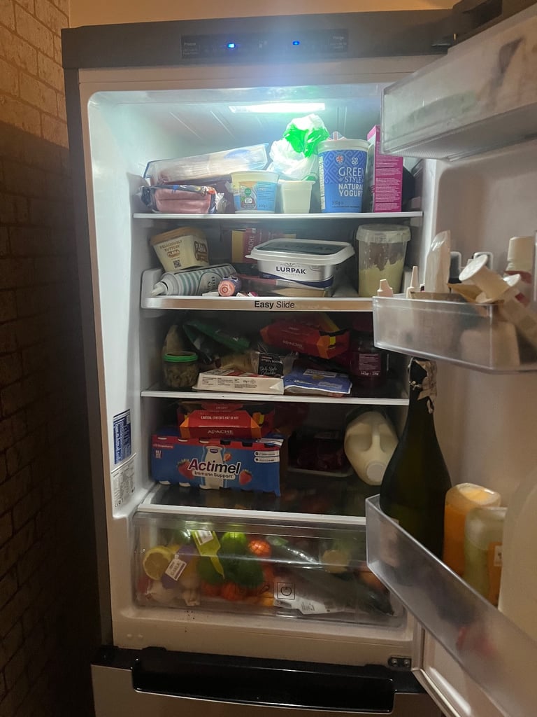 Samsung fridge freezer 