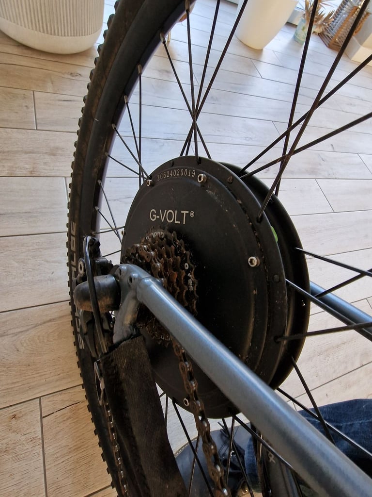 Giant electric bike