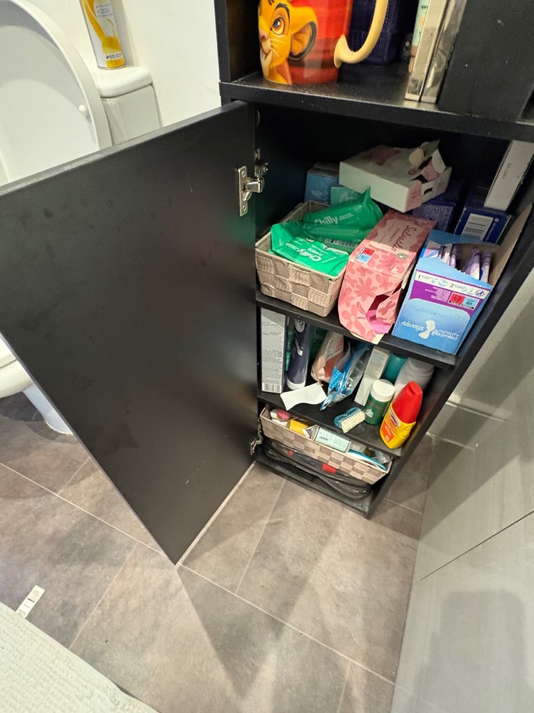 Bathroom Tall cabinet 