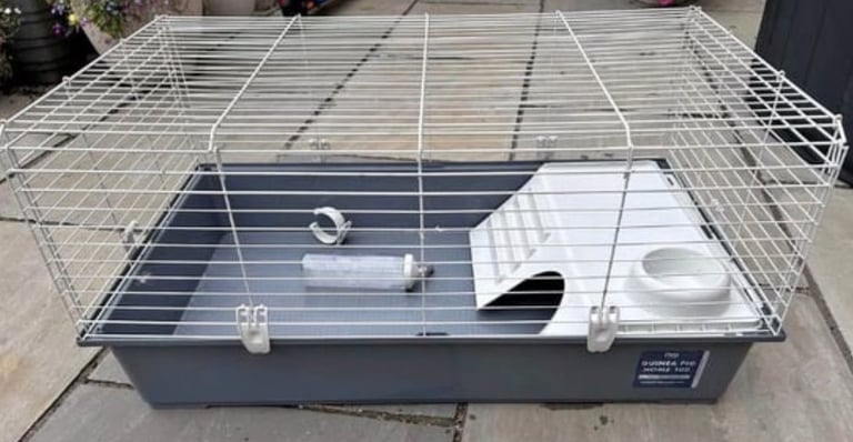 Guinea pig cage 