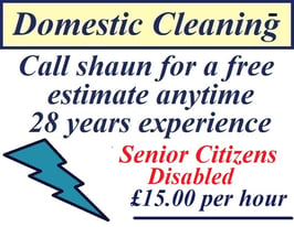 DOMESTIC CLEANING / CLEANERS / CLEANING SERVICES / SPRING CLEANING