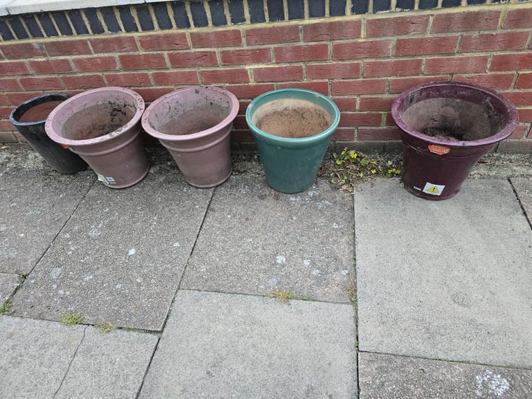 image for Free plant pots