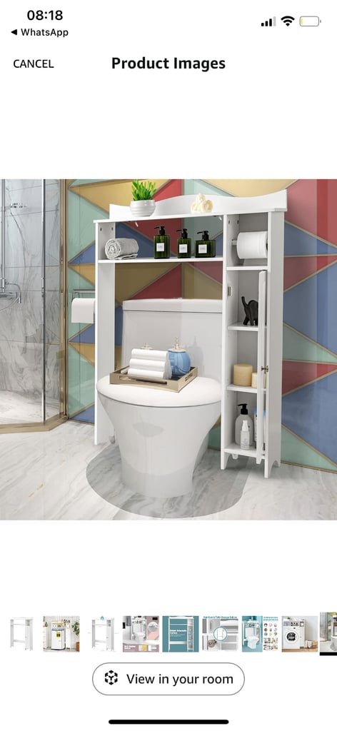 Bathroom toilet storage 