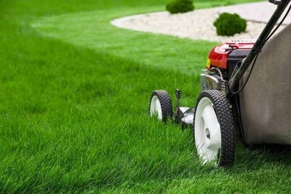Grass Cutting , Gardening. DH Services Bristol