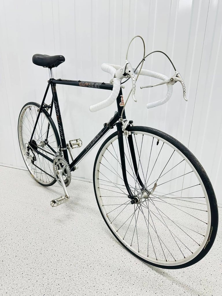 RALEIGH RECORD Size/L Fully Serviced 10 Speed Road Bike WARRANTY