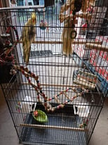 Cockateil cage and new cage cover 