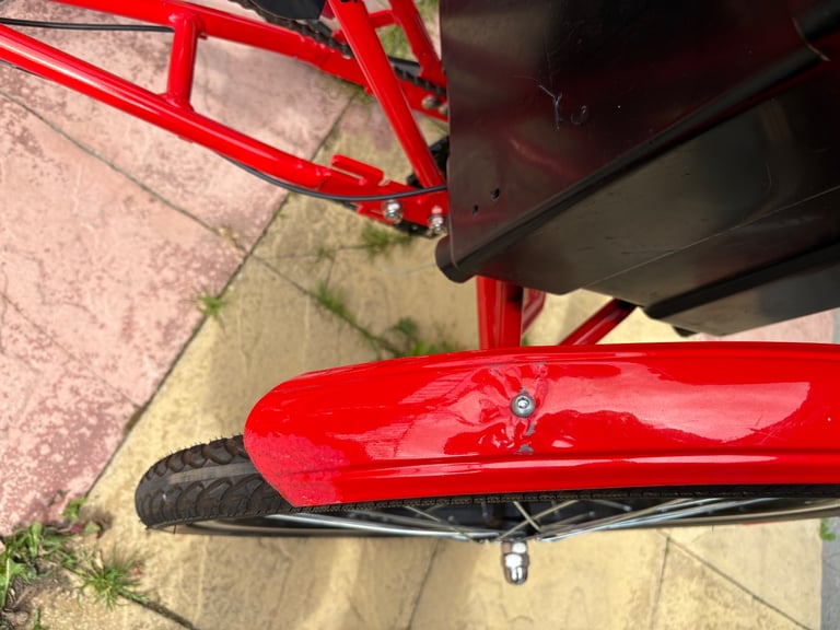 Power assist adult trike