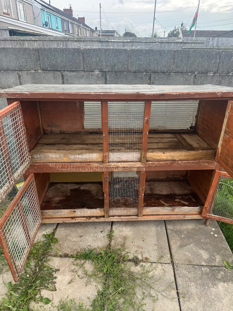 Rabbit hutch free