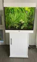 Juwel lido 200 white tropical marine fish tank aquarium setup delivery