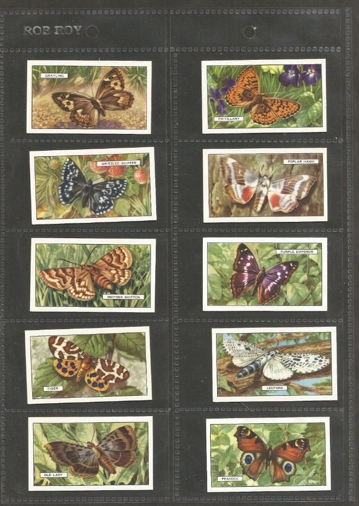 A Full set of 48 Original Vintage Cigarette Cards Butterflies