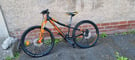 Ktm wild speed junior mountain bike 