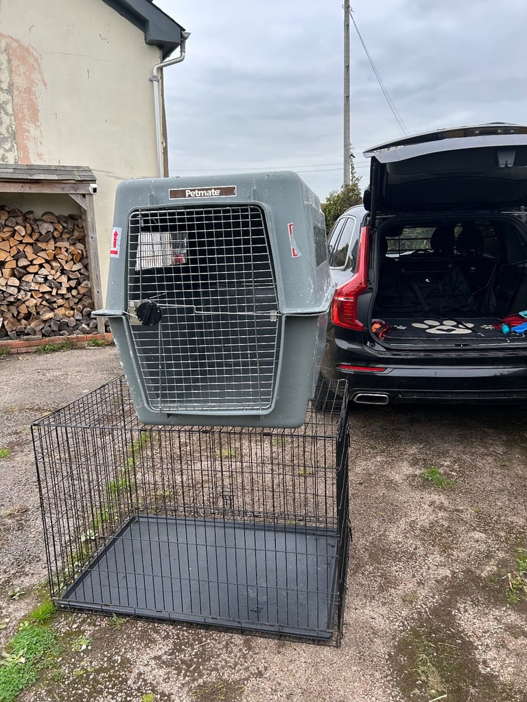 Very large dog transport 