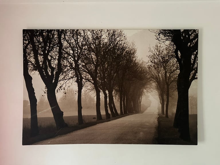 image for Ikea PJÄTTERYD 'Misty Road' Large Canvas