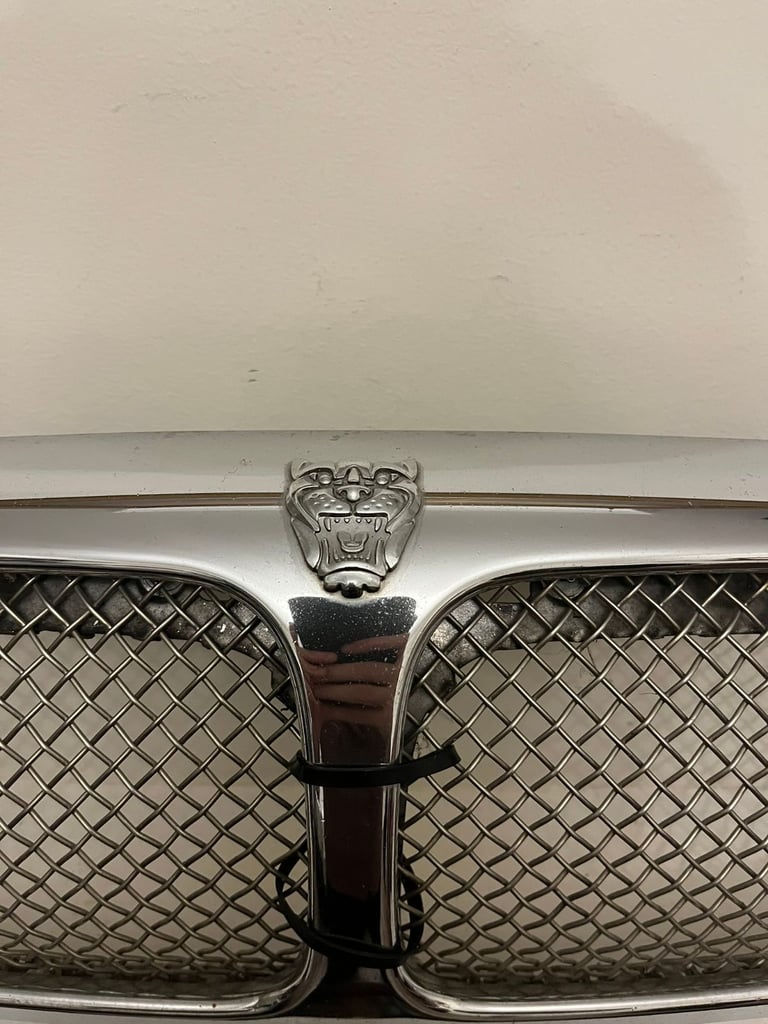 Jaguar X Type 2001-2007 (Pre-Facelift) Mesh Chrome Grille
