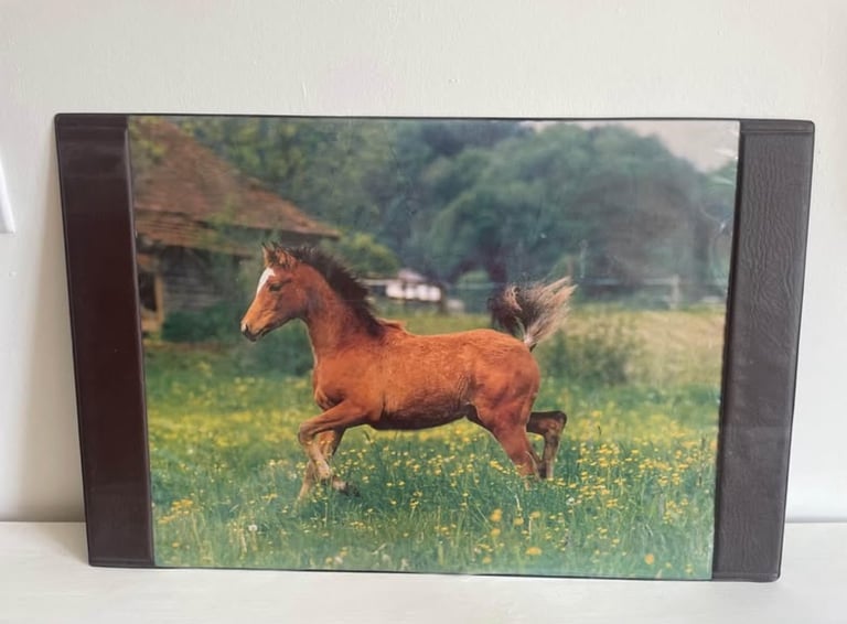 Horse desk mat