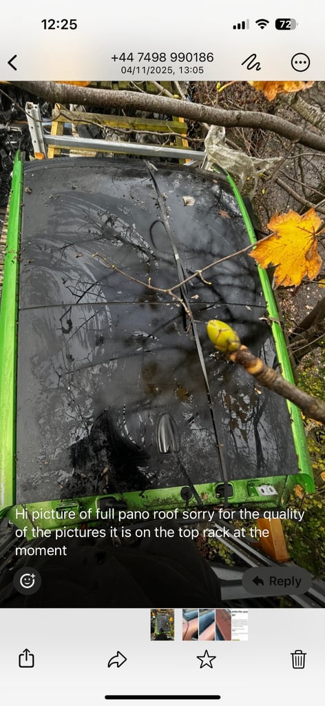 image for Ford Fiesta 2017 glass sunroof (Mk8)