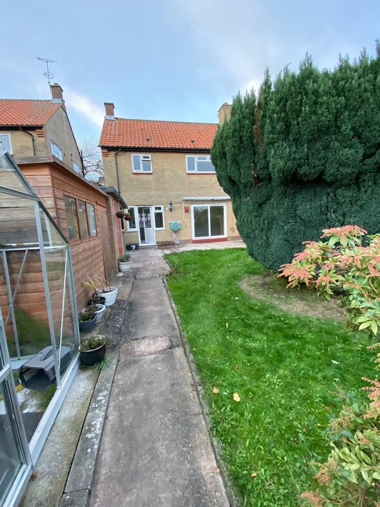 Semi detached house for rent 