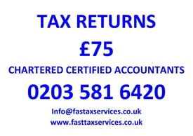 Tax Returns from £75, Companies Accounts from £100 - Quality services at low cost.