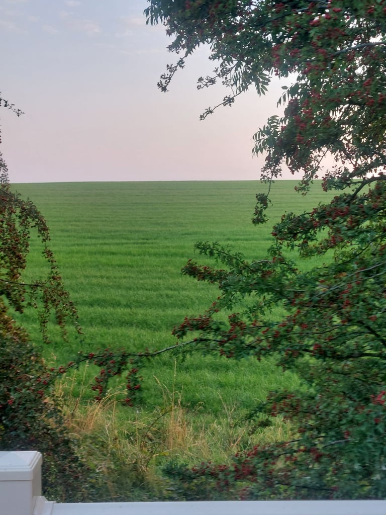 ABI St David static caravan